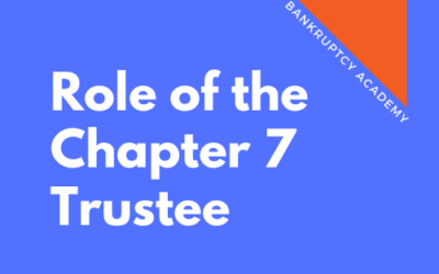 BK 130: Role of the Chapter 7 Panel Trustee