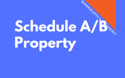 BK 102: Schedule A/B – Property