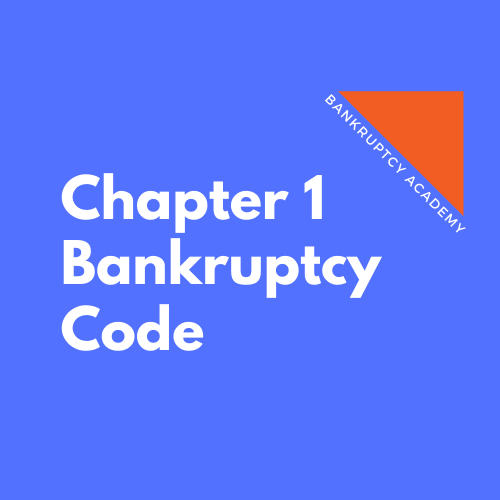 Schaller Bankruptcy Masterclass